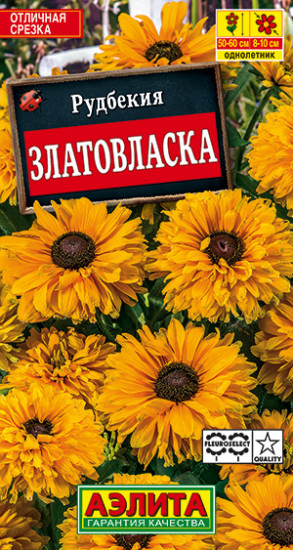 Рудбекия «Златовласка»