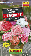 Пеларгония «Прелестная F1»
