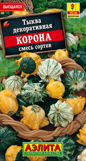 Тыква декоративная «Корона»