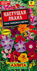 Цветущая лиана