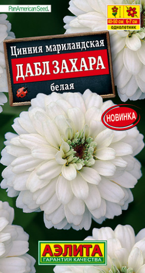 Цинния «Дабл Захара белая»