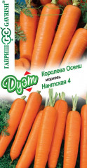 Морковь «Королева Осени» и «Нантская 4»