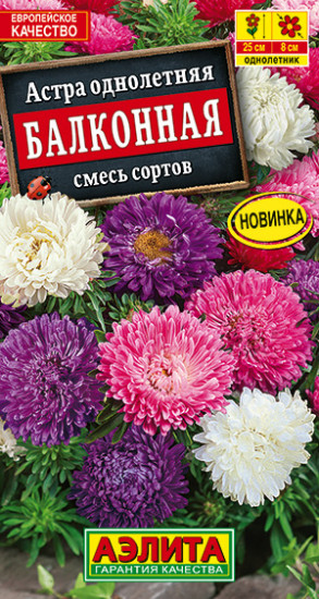 Астра «Балконная»