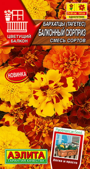 Бархатцы «Балконный сюрприз»