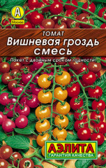 Томат «Вишневая гроздь»