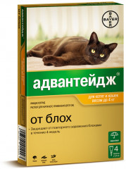 Капли от блох для котят и кошек