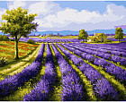 Картина по номерам «Лавандовое поле»