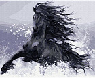 Картина по номерам «Конь вороной»