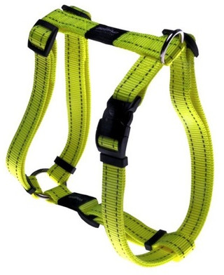 Шлейка для собак