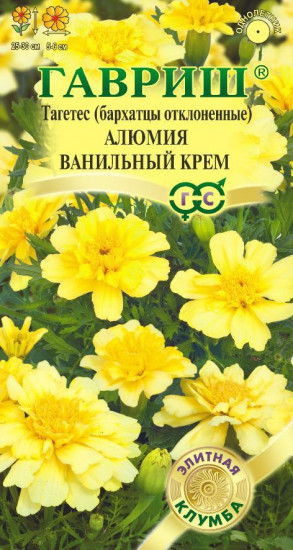 Бархатцы отклоненные «Алюмия Ванильный крем»