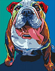 Картина по номерам «Разноцветный бульдог»