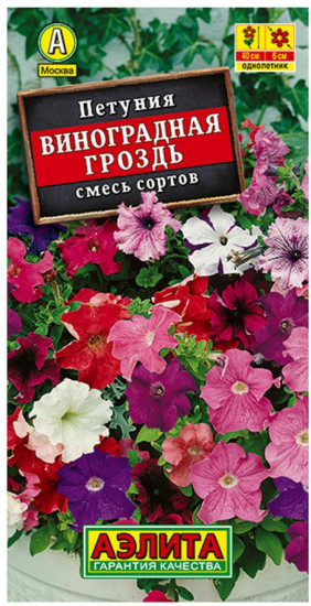 Петуния «Виноградная гроздь каскадная»