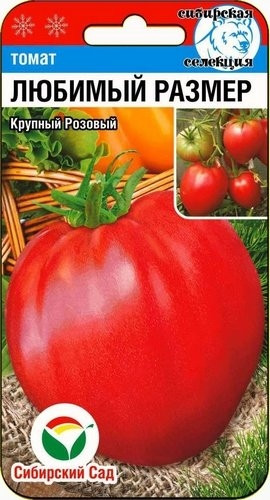 Томат «Любимый размер»