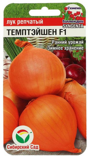 Лук репчатый «Темптэйшен F1»