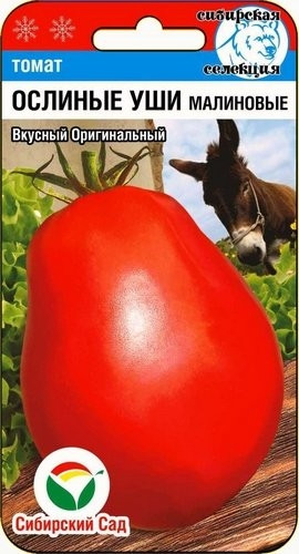 Томат «Ослиные уши»