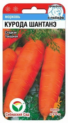 Морковь «Курода Шантанэ»