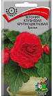 Бегония красная клубневая
