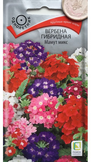 Вербена гибридная «Мамут микс»