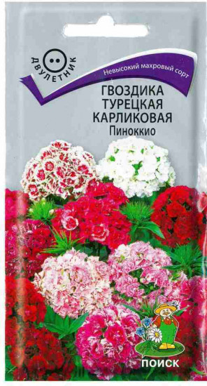 Гвоздика карликовая «Пиноккио»