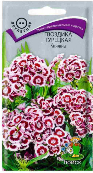 Гвоздика «Княжна»