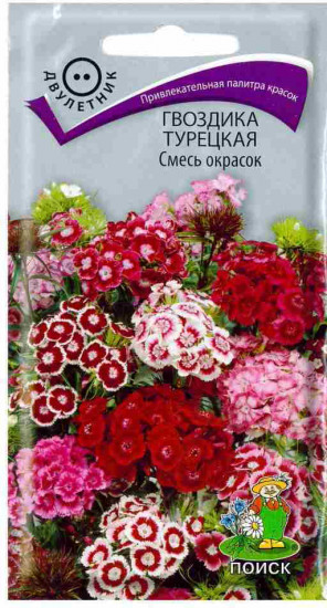 Гвоздика «Смесь окрасок»