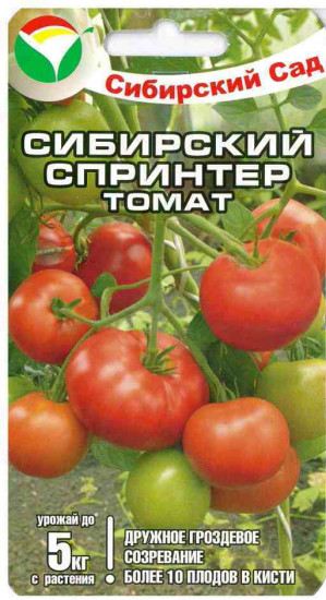Томат «Сибирский спринтер»
