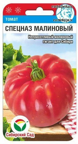 Томат «Спецназ малиновый»