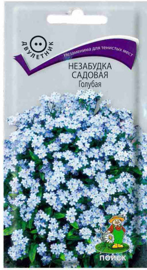 Незабудка «Голубая садовая»