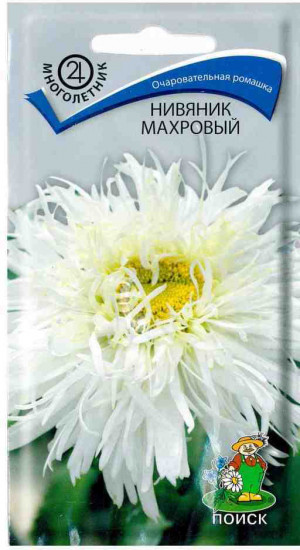 Нивяник «Махровый»