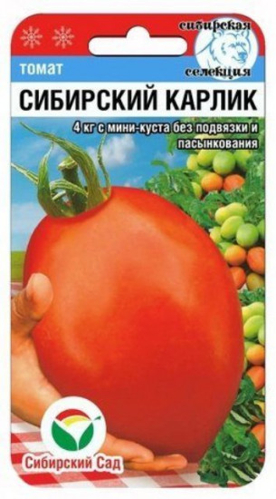 Томат «Сибирский карлик»