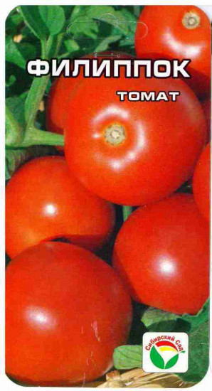 Томат «Филиппок»