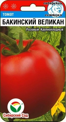 Томат «Бакинский великан»