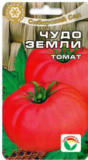 Томат «Чудо земли»