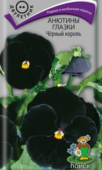 Виола «Черный Король»