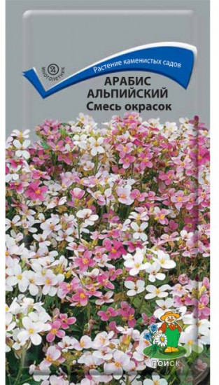 Арабис альпийский «Смесь окрасок»