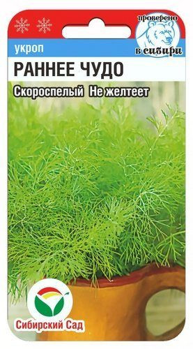 Укроп «Раннее чудо»