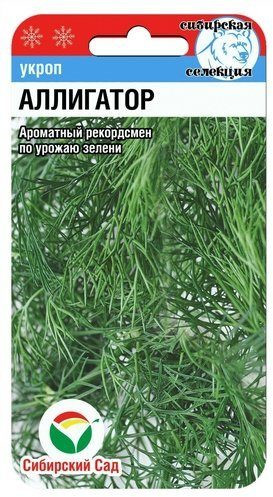 Укроп «Аллигатор»