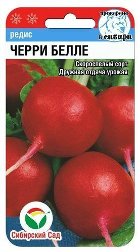 Редис «Черри белле» | Сибирский Сад