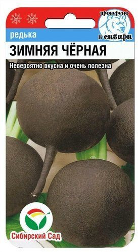 Редька «Зимняя черная»