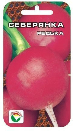 Редька «Северянка»