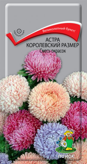 Астра «Королевский Размер Смесь окрасок»