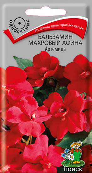 Бальзамин махровый «Афина Артемида»