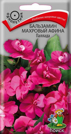 Бальзамин махровый «Афина Паллада»