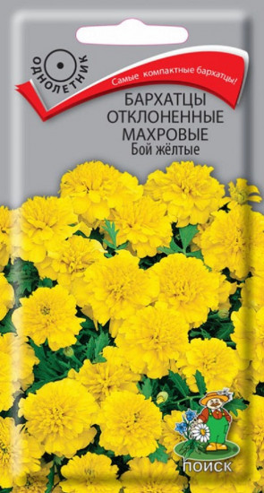 Бархатцы отклоненные махровые