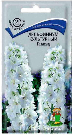 Дельфиниум «Галахад»