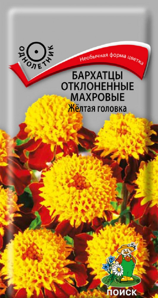Бархатцы отклоненные махровые «Жёлтая головка» | Поиск
