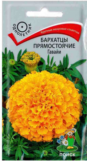 Бархатцы прямостоячие «Гавайи»