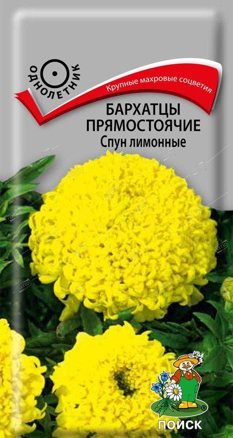 Бархатцы прямостоячие «Спун лимонные» | Поиск