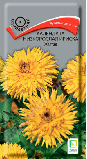 Календула «Ириска желтая»