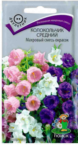 Колокольчик махровый «Смесь окрасок»